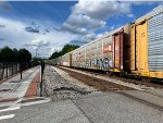 TTGX 991707